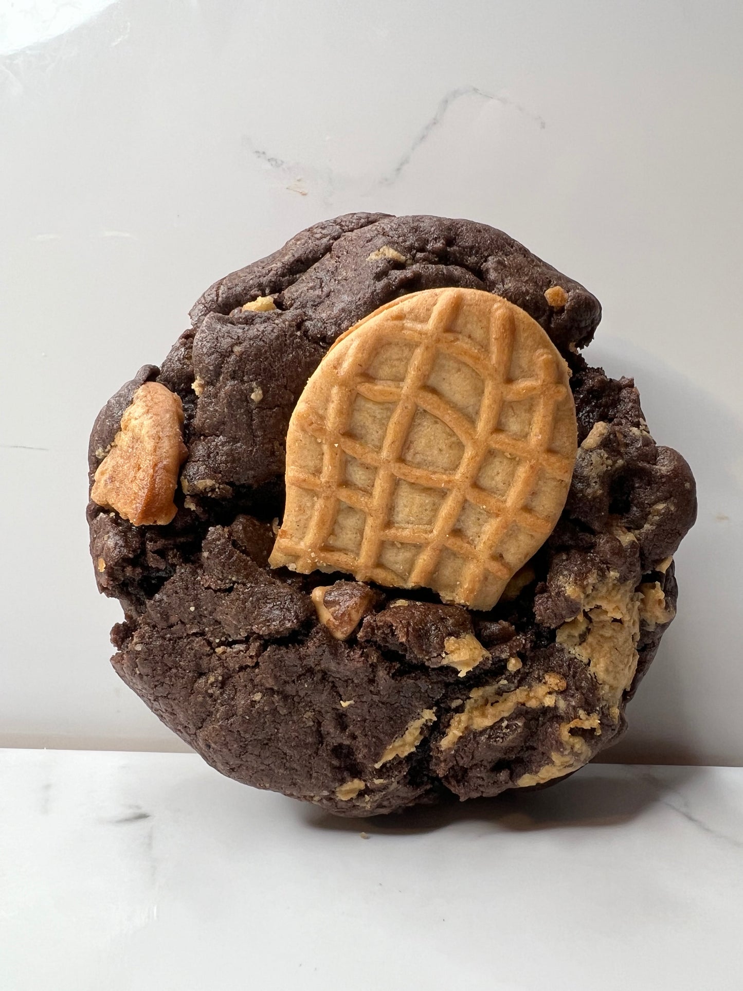 Chocolate Peanut Butter Cookies